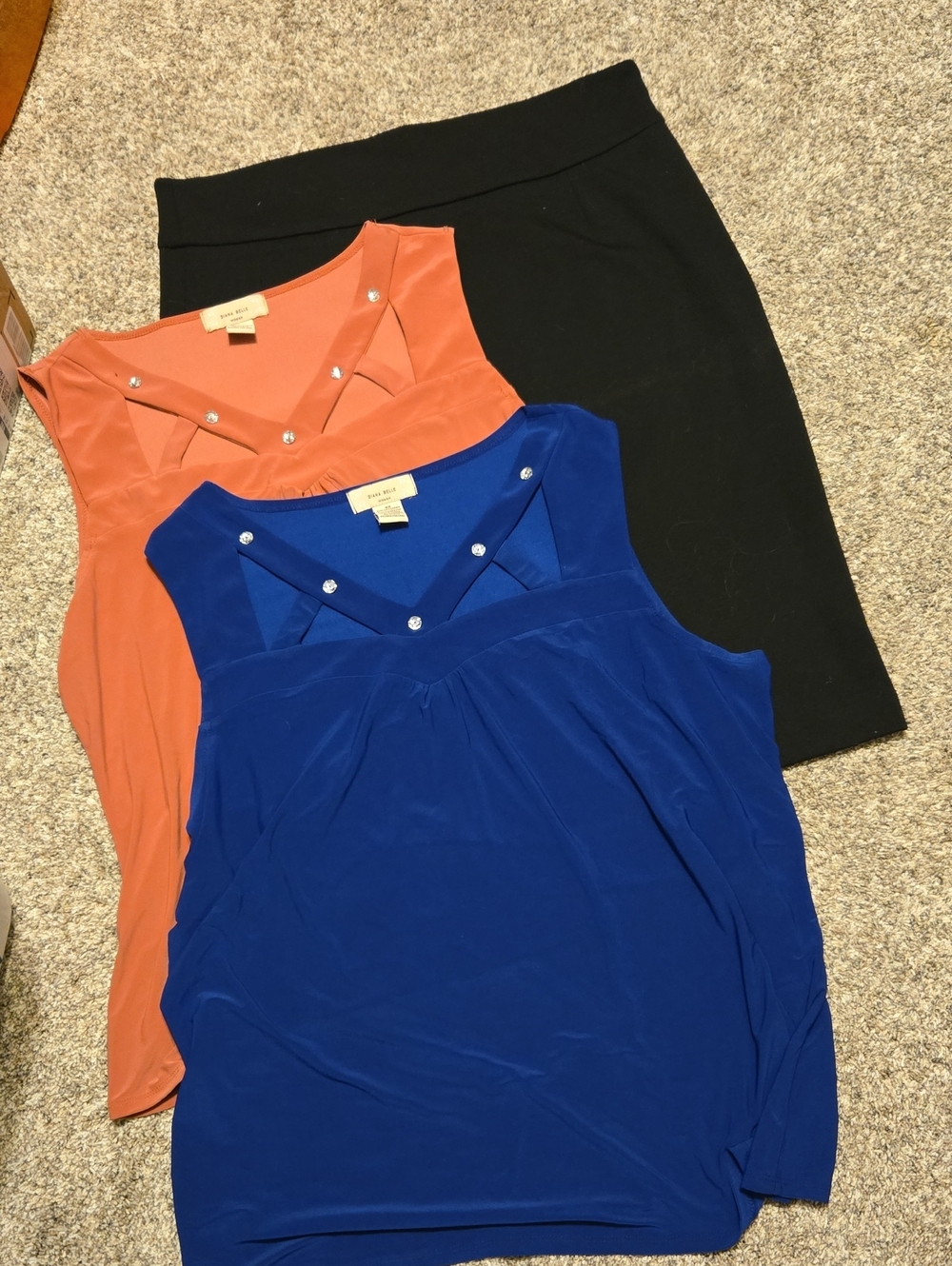 2 Sleeveless Jewel-Trim Slinky Tops in Blue and Rust And Below The Knee Skirt